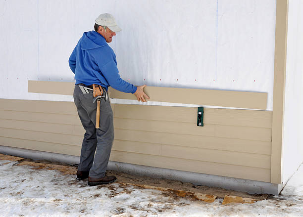 Best Insulated Siding Installation  in Sturgis, MI